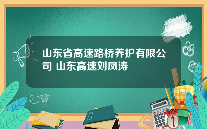 山东省高速路桥养护有限公司 山东高速刘凤涛